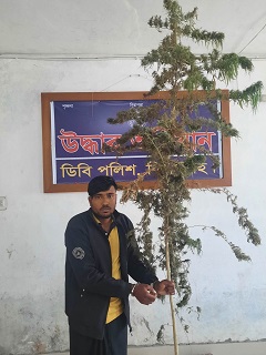 image-here